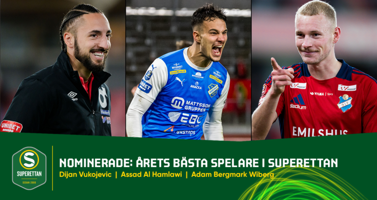 Spelordningen för Superettan 2024 Superettan